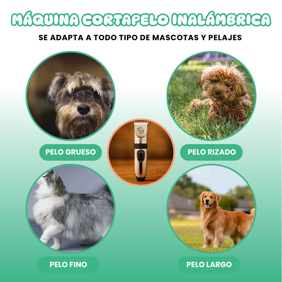 KIT CORTAPELOS RECARGABLE USB + ACCESORIOS PREMIUM